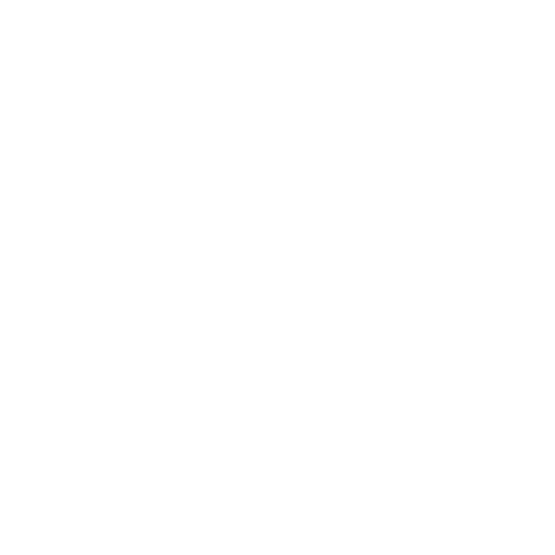 Collection Intelligence Logo